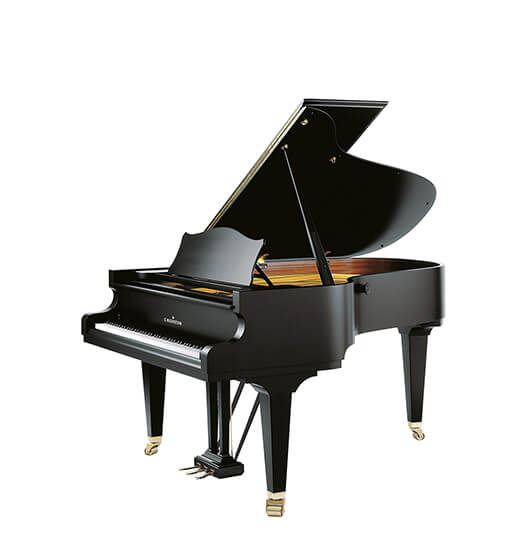 C. BECHSTEIN Concert A 192